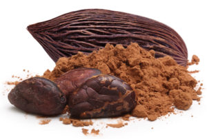 CocoaNol Cocoa Flavanol Powder