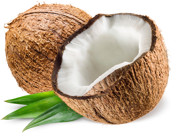 Coconut Oil – Refined